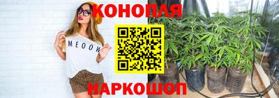 гашик Камышлов
