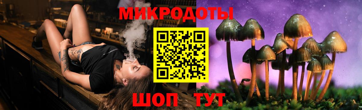 Владивосток  Псилоцибиновые грибы Psilocybe  что такое   Вход с VPN 